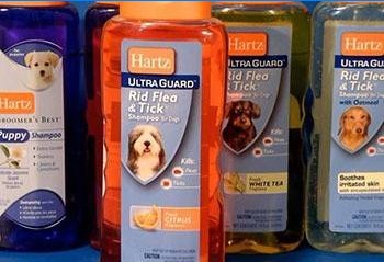 Floh- und Zeckenshampoos für Hunde