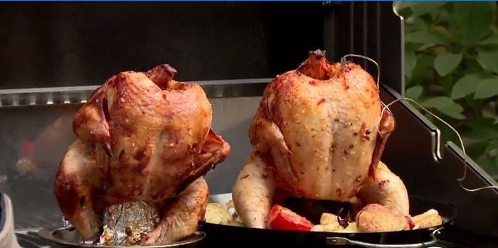 Bier Huhn und Huhn mit Gemüse in Wasser