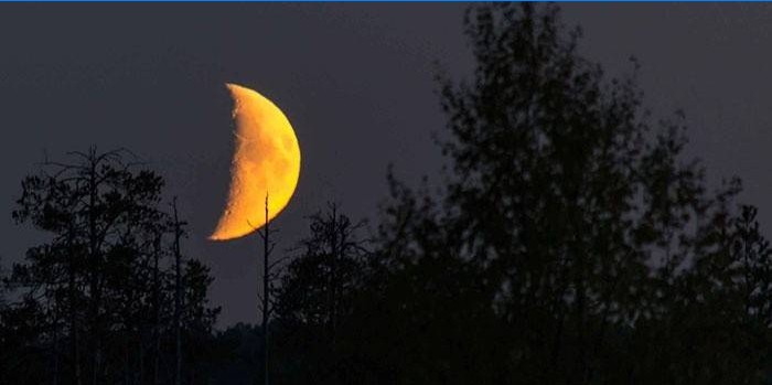 Das Schneiden von Haaren endet auf einem wachsenden Mond