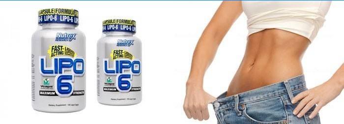 Fatburner Lipo 6