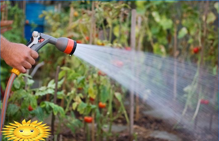 Den Garten richtig gießen