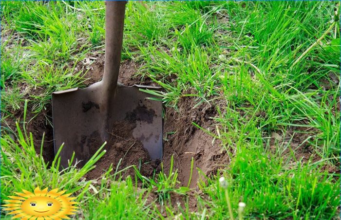 Den Garten richtig gießen