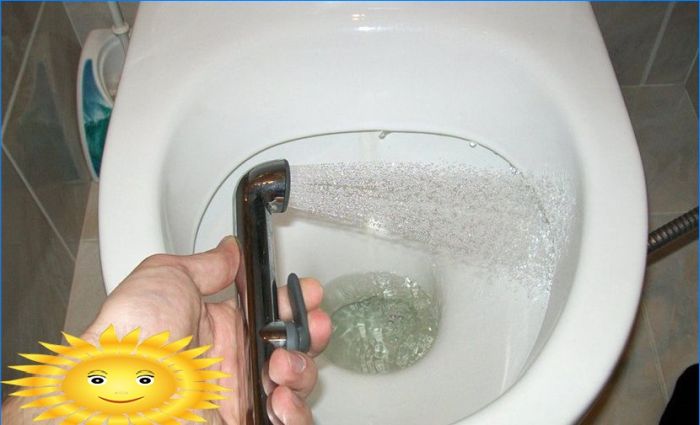 Do-it-yourself-Installation einer verdeckten Hygienedusche