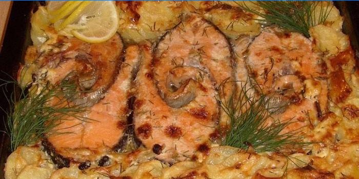 Stücke rosa Lachs mit Kartoffeln und Zitrone