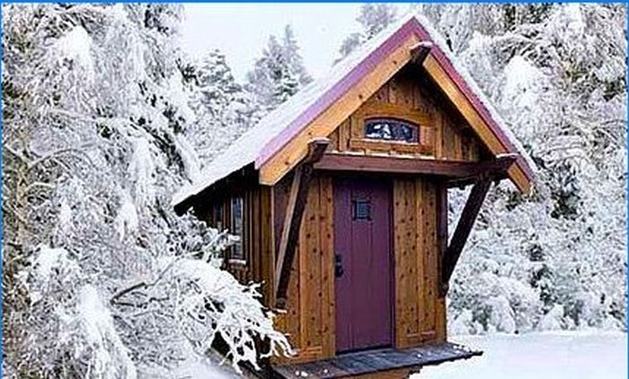 Tumbleweed Tiny House