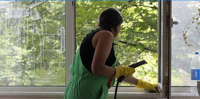 Mädchen wäscht ein Fenster