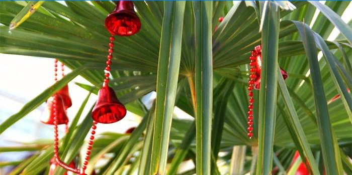 Christbaumschmuck auf Palmenzweigen