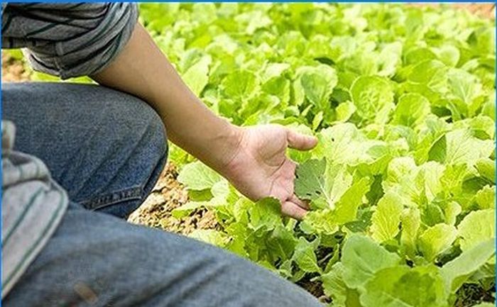 Biologische Landwirtschaft. Permakultur - im Einklang mit der Natur leben