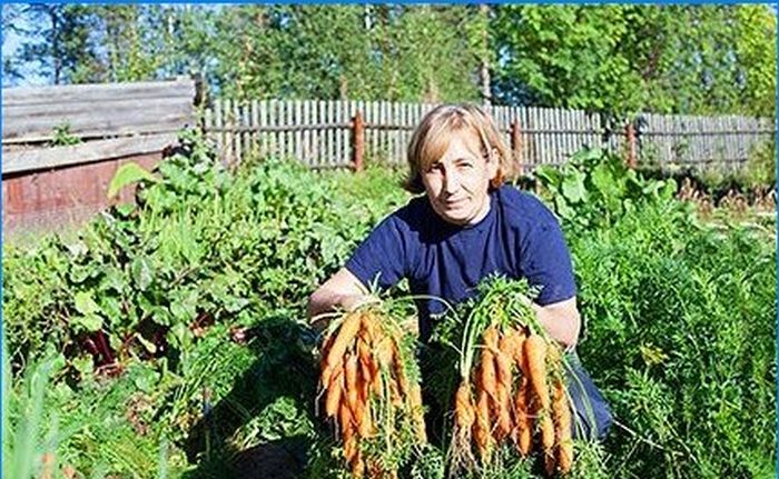 Biologische Landwirtschaft. Permakultur - im Einklang mit der Natur leben