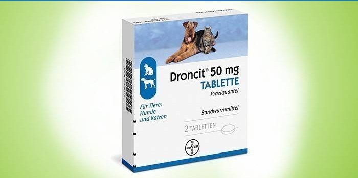 Dronzit