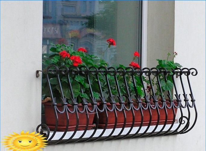 Blumen außerhalb des Fensters: fixieren, wählen, verlassen