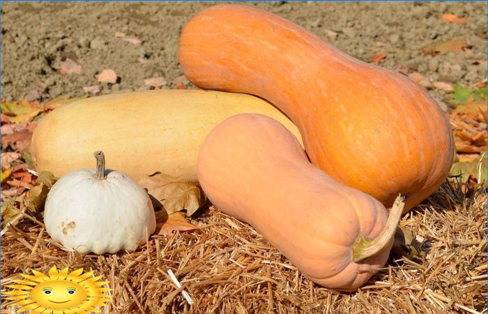 Herbst auf dem Land: Fotoauswahl für Stimmung