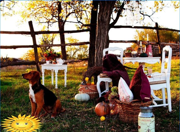 Herbst auf dem Land: Fotoauswahl für Stimmung