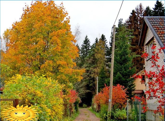 Herbst auf dem Land: Fotoauswahl für Stimmung