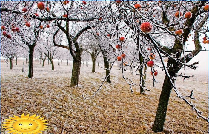 Herbst auf dem Land: Fotoauswahl für Stimmung