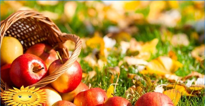 Herbst auf dem Land: Fotoauswahl für Stimmung