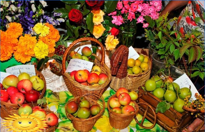 Herbst auf dem Land: Fotoauswahl für Stimmung