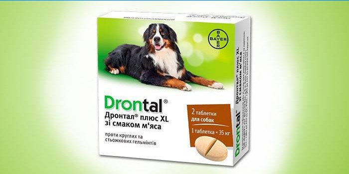 Drontaltabletten