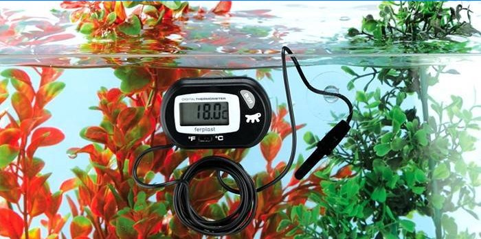 Aquariumthermometer mit Fernbedienungssensor