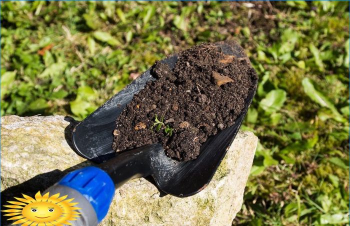 Wie man die Bodenstruktur verbessert und ihre Fruchtbarkeit erhöht