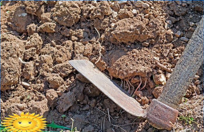 Wie man die Bodenstruktur verbessert und ihre Fruchtbarkeit erhöht