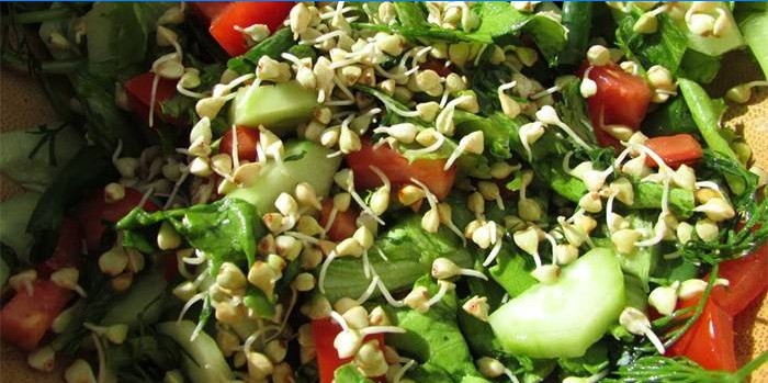 Salat mit gekeimten Körnern von grünem Buchweizen
