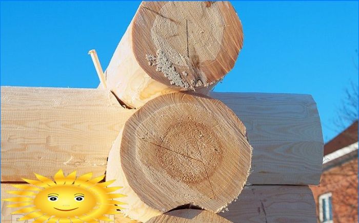 Ein Blockhaus für ein Holzhaus wählen