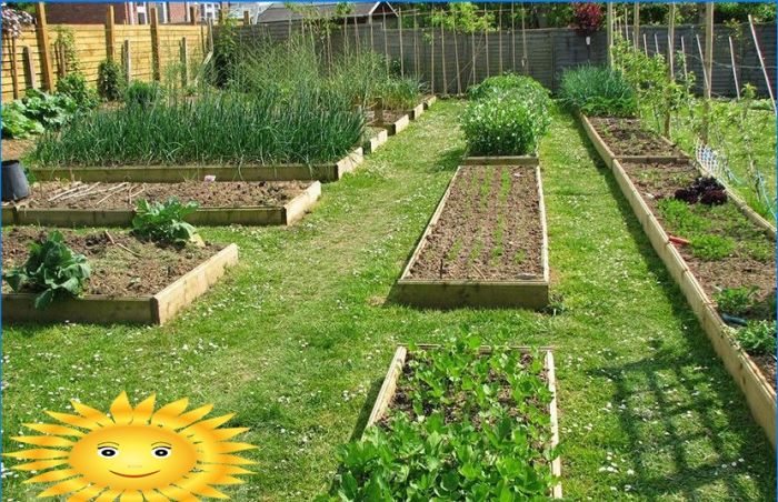 Gartengestaltung - Vorbereitung für das Pflanzen von Gemüse in den Beeten