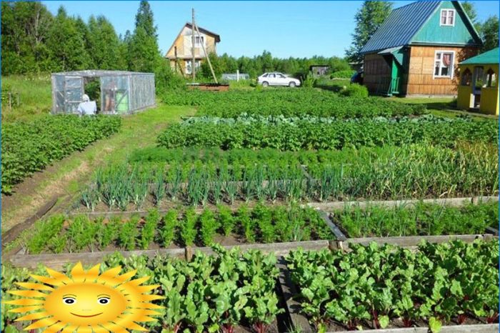 Gartengestaltung - Vorbereitung für das Pflanzen von Gemüse in den Beeten