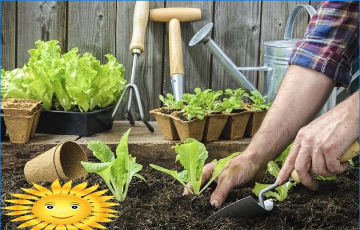 Gartengestaltung - Vorbereitung für das Pflanzen von Gemüse in den Beeten