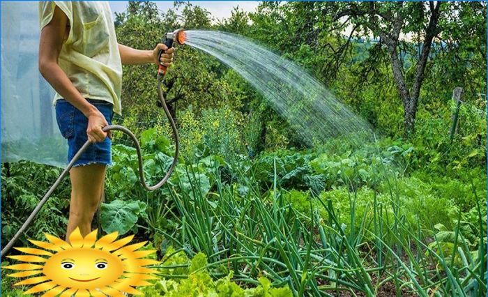 Gartengestaltung - Vorbereitung für das Pflanzen von Gemüse in den Beeten