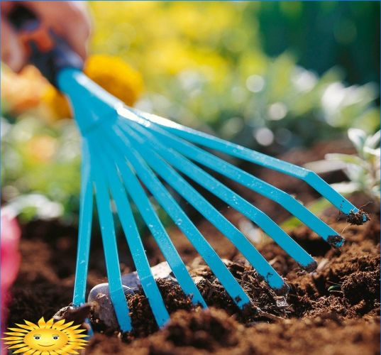 Gartenpflege: Wie man Pflanzen vor Hitze und Trockenheit schützt