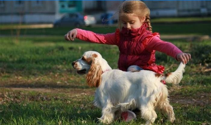 Mädchen spielt mit einem Hund