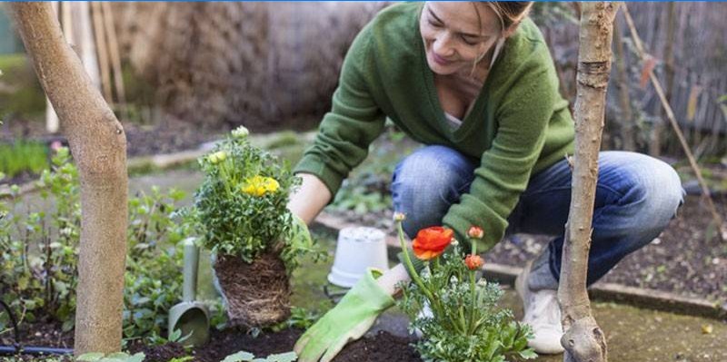 Frau im Blumenbeet