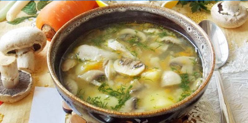 Hühnerbrühe Suppe mit Champignons