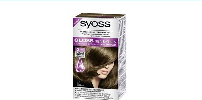 Syoss Glossossation