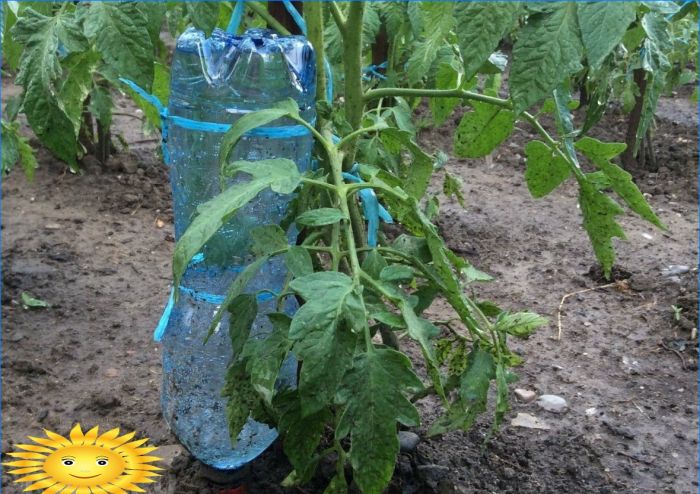 Tropfbewässerung mit Plastikflaschen