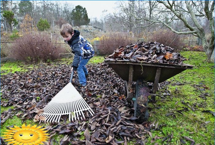 Vier Gründe, nicht zum Frühjahrsputz zu eilen