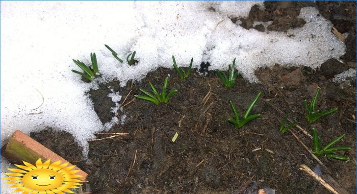 Vier Gründe, nicht zum Frühjahrsputz zu eilen