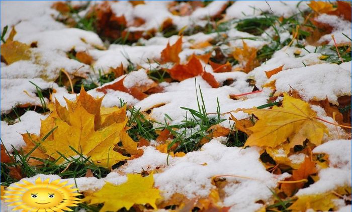 Herbstkalender des Gärtners und des Gärtners