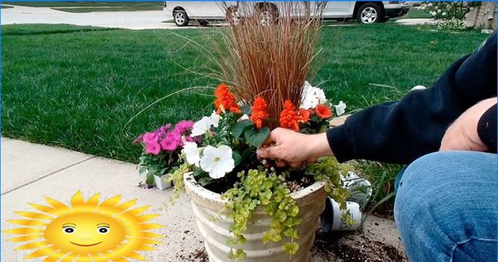 Kaskadierendes Blumenbeet im Garten mit gewöhnlichen Blumentöpfen