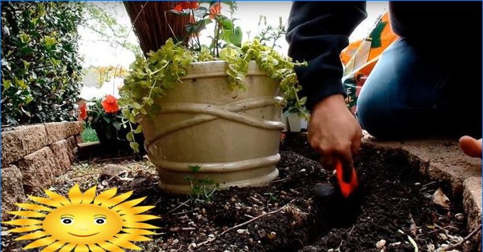 Kaskadierendes Blumenbeet im Garten mit gewöhnlichen Blumentöpfen