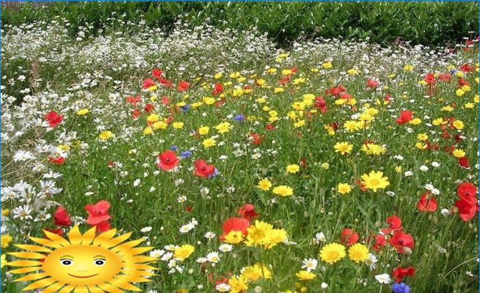 Maurischer Garten in Landschaftsgestaltung - eine Oase der Ruhe und des Vergnügens