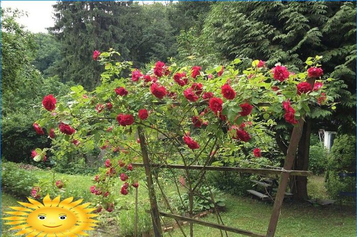 Stützen, Bögen, Buschhalter und Gitter im Garten