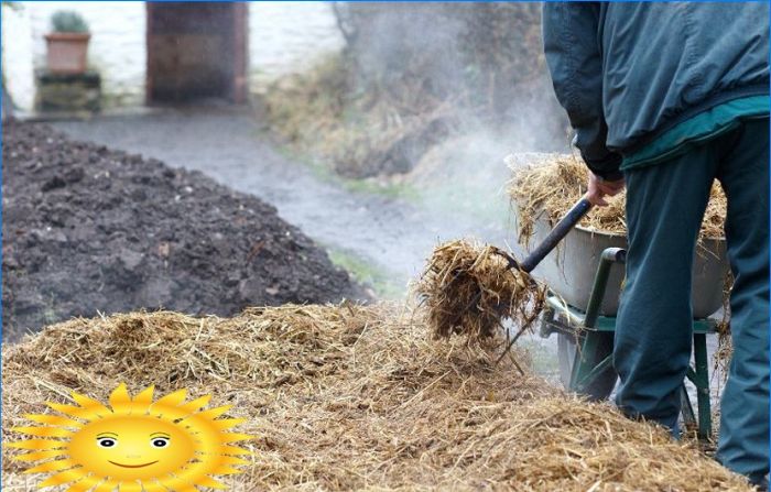 Wie man eine frühe Ernte von Kartoffeln bekommt