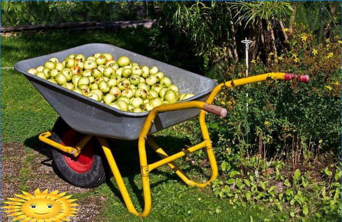 Wie wählt man einen Gartenwagen, eine Schubkarre für den Haushalt