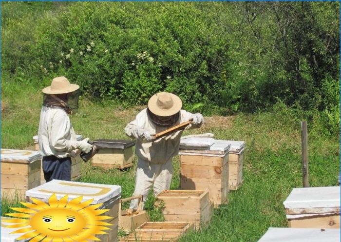 Bienenstock und Bienen als Gartendekoration