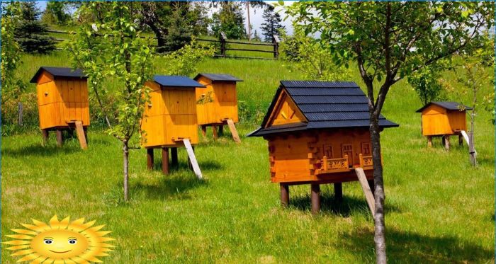 Holzhäuser für Bienen