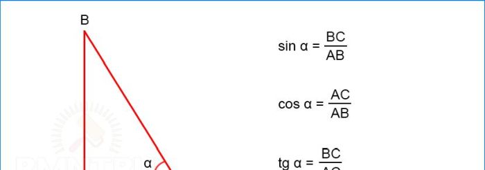 Trigonometrische Funktionen eines spitzen Winkels