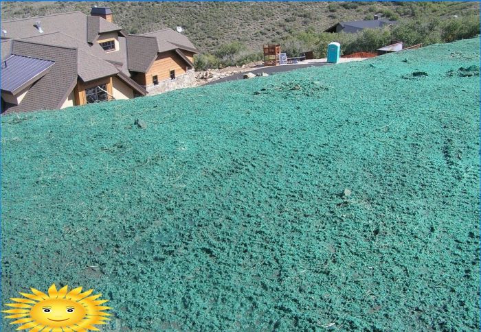 Hydroseeding des Rasens zum Selbermachen